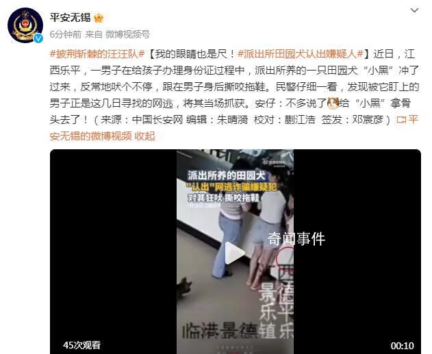 派出所田園犬“認出”嫌疑人