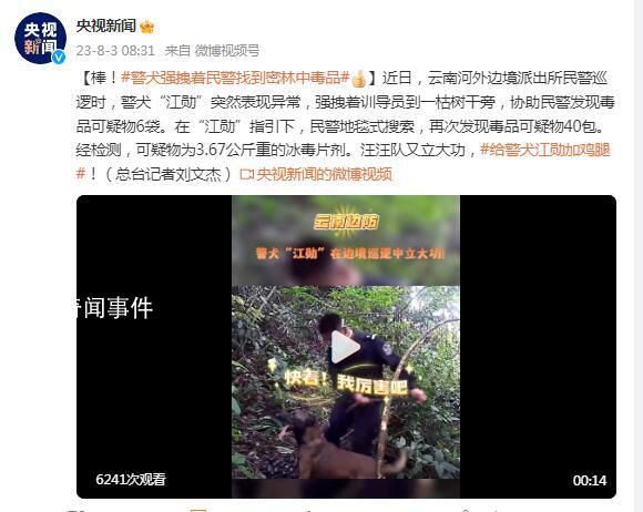 警犬強拽著民警找到密林中毒品 給警犬江勛加雞腿