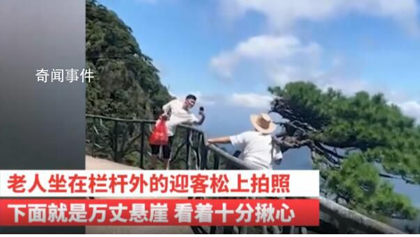 老人坐在懸崖邊的迎客松上拍照 游客自行翻越到欄桿在發生意外由游客自身承擔
