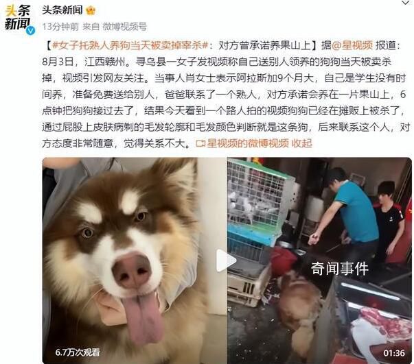 托熟人養狗當天被賣掉宰殺 這究竟是怎么回事