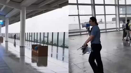 高鐵客服回應雨天乘客打傘被制止 站臺上存在許多高壓線