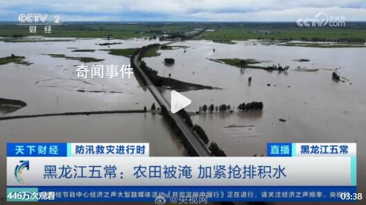 五常市農田被淹水面連在一起 當地正在加緊搶排積水
