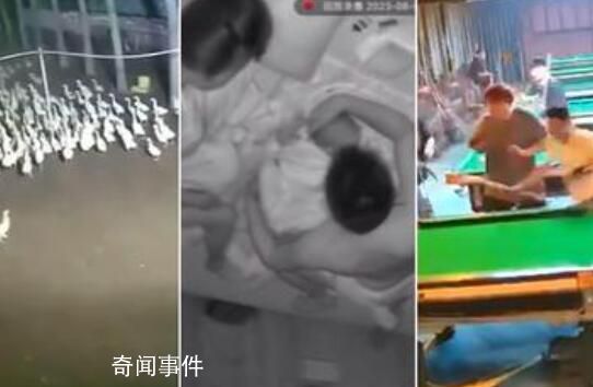 地震瞬間:鴨跑狗跳貨架倒