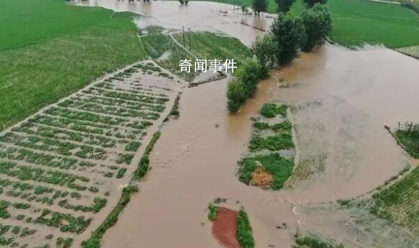 五常農民:水稻全完了 淹了三個鄉鎮