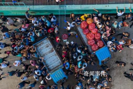 東海開漁 頭口鮮銷售旺