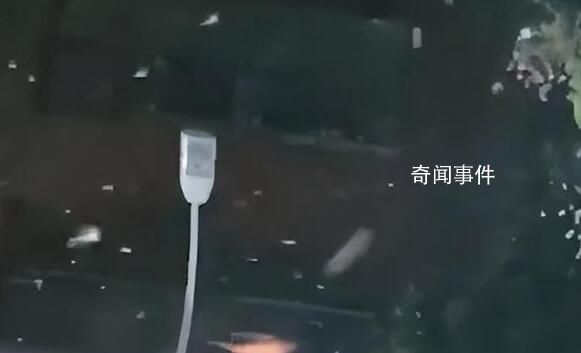 山東地震河南燕子滿天飛?地震局回應