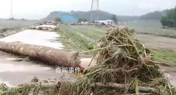 吉林舒蘭暴雨已致14人遇難 1人失聯
