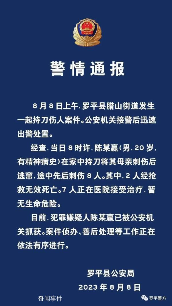 男子刺傷母親逃竄后再傷8人 致2死