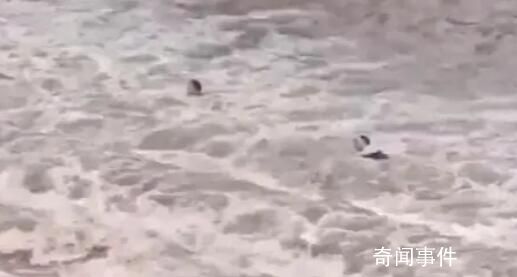 胡錫進三問雅安網紅打卡地7人遇難 游客為何在突然來水時出現在河道上