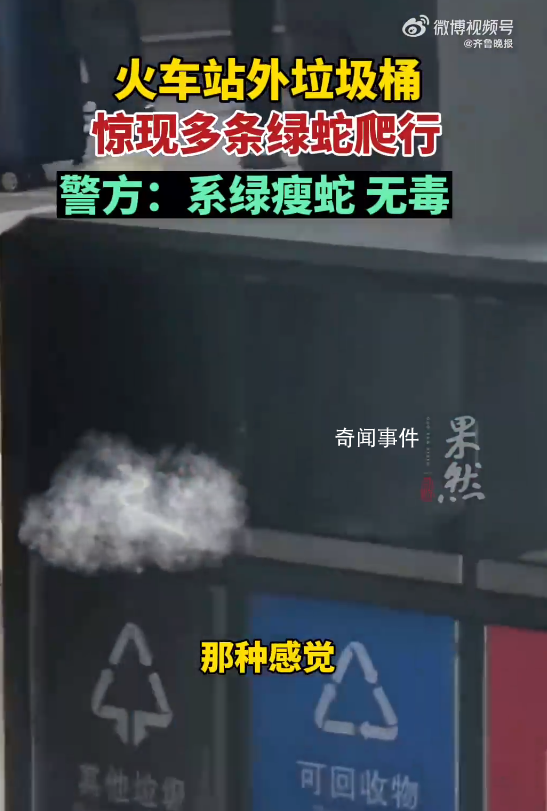 昆明車站外多條綠蛇在垃圾箱上爬行 具體的情況正在落實中，