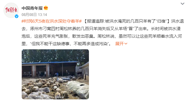 被洪水淹死的幾百只羊有了歸宿 被送往保定市徐水無害化處理中心處理