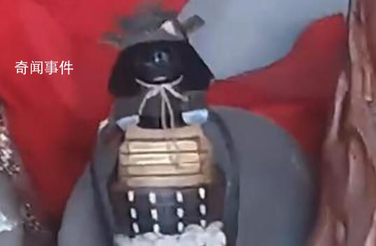 重慶寺廟供奉日本邪神?民宗委回應