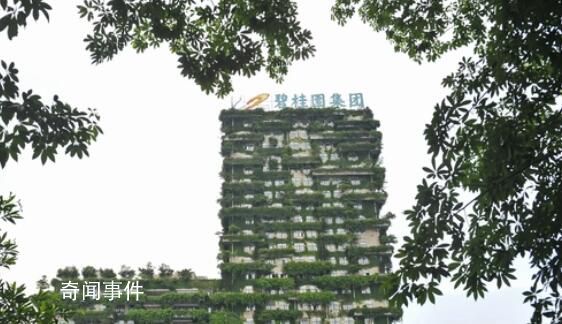房企碧桂園提出四大自救措施 承諾將堅守責任