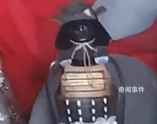 重慶豐都寺廟供奉日本邪神?當(dāng)?shù)赝▓?bào)