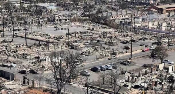 夏威夷大火元兇是全球變暖 風助火勢把當地變成了戰場