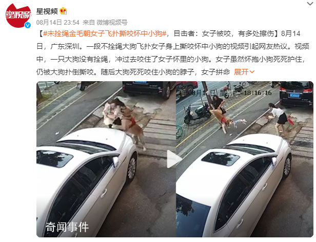 金毛未拴繩撲倒女子撕咬懷中小狗 視頻引起網友熱議