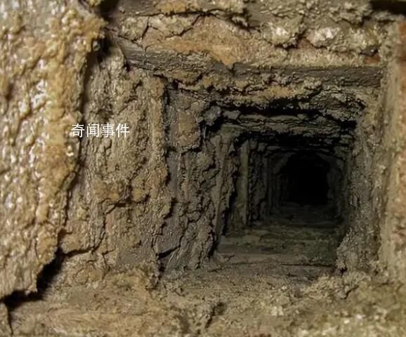 9人組團盜墓 3人中途中毒死亡