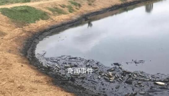 爾康制藥柬埔寨工廠遭令搬遷 公司必須在11月20日前修復(fù)當(dāng)?shù)丨h(huán)境