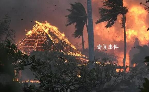夏威夷山火起因或涉及電力公司 電力公司的基礎設施受損