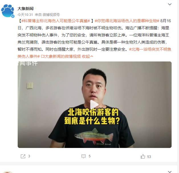 科普博主稱北海傷人可能是公牛真鯊 外出游玩時一定要注意安全