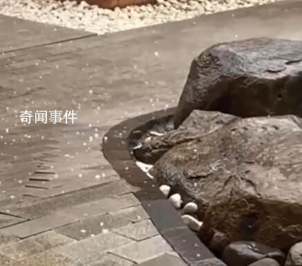杭州突降冰雹 網(wǎng)友:開(kāi)眼了