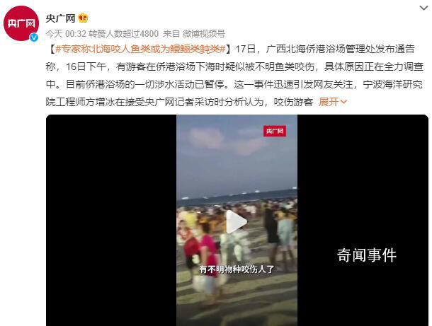 專家稱北海咬傷多人魚類不是鯊魚 目前僑港浴場的一切涉水活動已暫停
