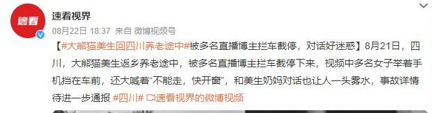 大熊貓美生返鄉(xiāng)被直播博主攔車截停 多名女子舉著手機擋在車前