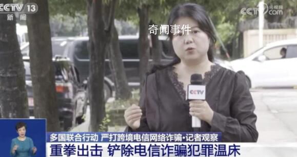 緬甸為何成電詐集團(tuán)聚集地?
