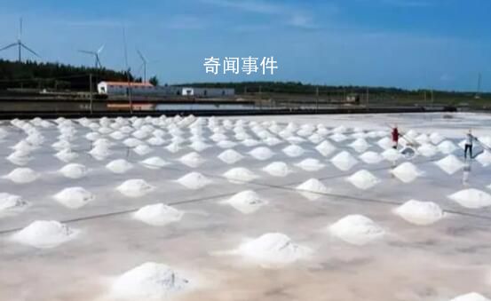 廣東:市民不必效仿海外囤鹽