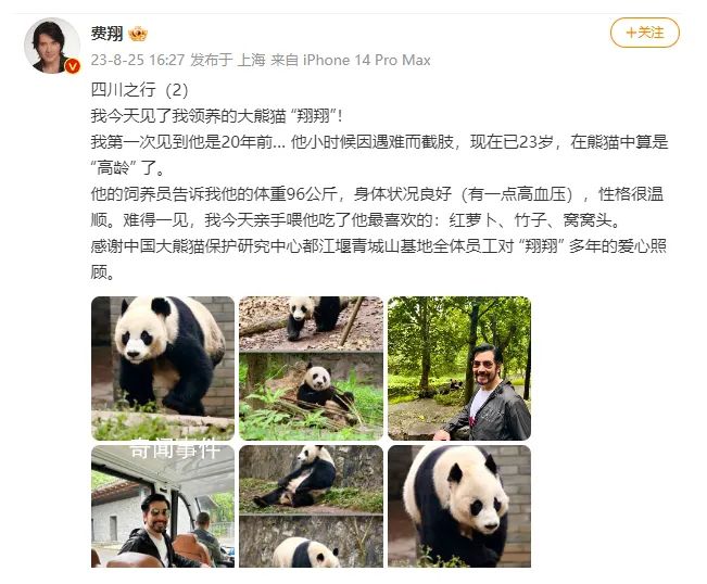 費翔見到了自己領養的大熊貓 費翔曬照分享四川之行