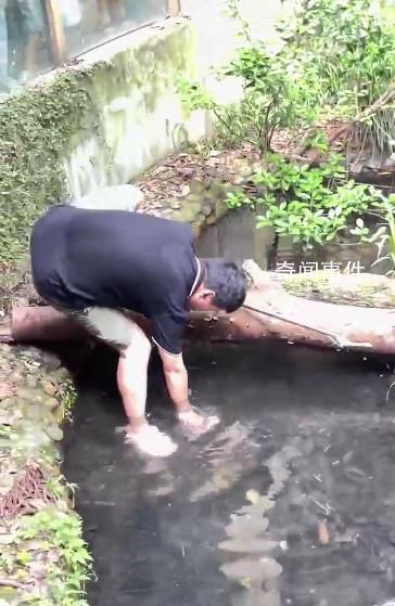 男子動(dòng)物園鱷魚(yú)池內(nèi)打撈手機(jī) 視頻引發(fā)網(wǎng)友關(guān)注
