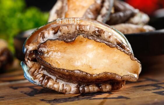 日本鮑魚已降價(jià)30% 主要市場(chǎng)相繼限制日本水產(chǎn)進(jìn)口