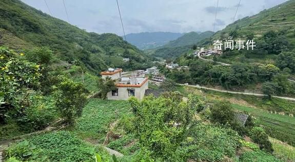 小伙陷電詐染登革熱 回國后精神失常