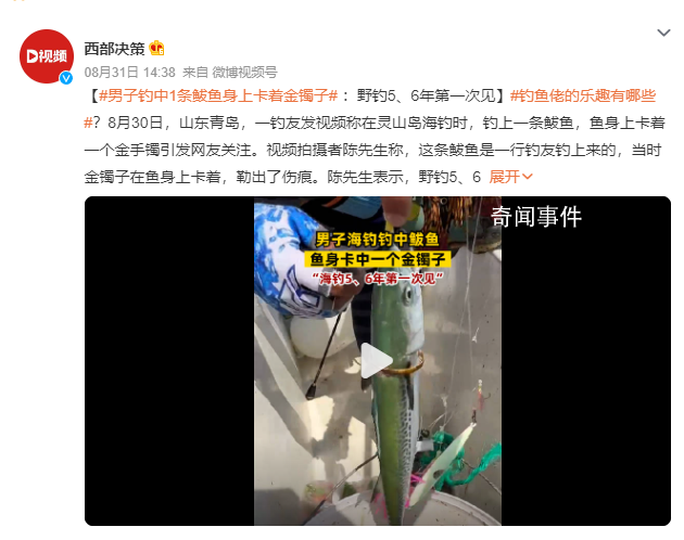 男子海釣 魚身上卡著一個鐲子