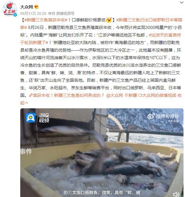 新疆三文魚喜獲豐收 今年預計將實現3000噸量產的小目標