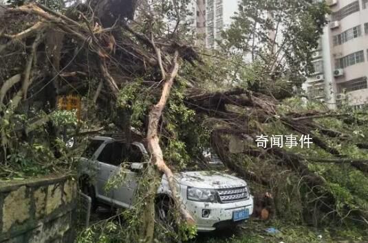 臺(tái)風(fēng)破壞力太大會(huì)被除名 嚴(yán)重的臺(tái)風(fēng)為什么要除名