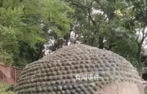 景區回應一男子爬上樂山大佛頭頂 后續處理情況尚不清楚