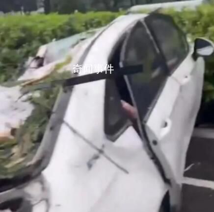 深圳臺風吹倒樹砸中車輛致1死2傷 救援人員趕到時車內2名女性受傷被救出