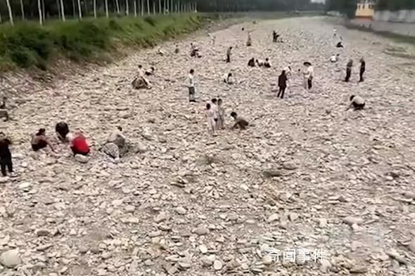洪水過后出現(xiàn)碎金 村民河道撈金