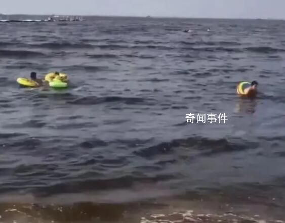 遼寧一海域海水變黑 當地回應