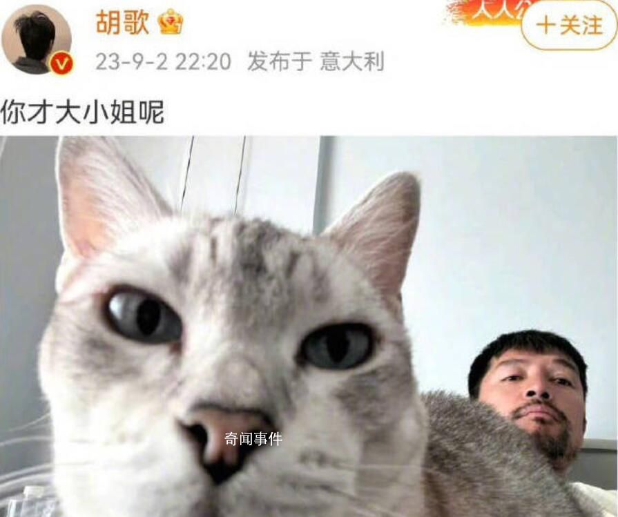 胡歌回應熱評:你才大小姐呢