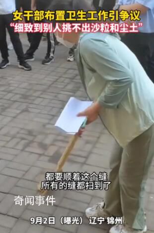 遼寧一干部要求打掃磚縫無塵土沙粒 一段女干部在布置衛生工作時的視頻引發爭議