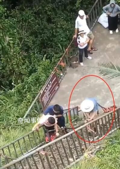 官方回應70歲老人景區墜崖身亡 排除刑案