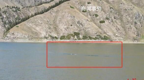 天山天池拍到水怪?官方展開調查