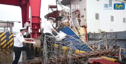 入境船舶上發現1萬余只蟑螂 處理后檢查未見活體蜚蠊