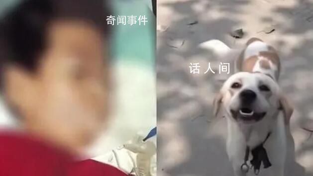 7歲娃被鄰居家狗抓傷后離世 未能及時接種狂犬疫苗