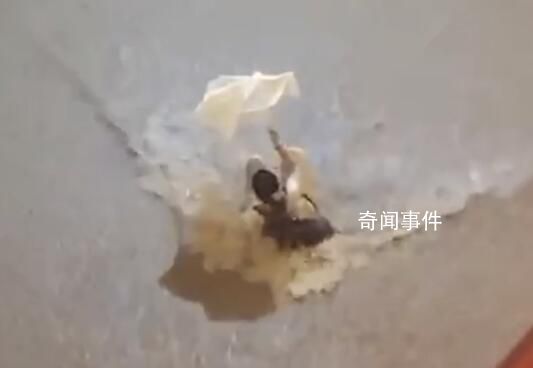 現場:廣東洪水瞬間沖倒四五米高墻