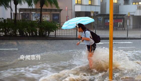 香港暴雨豬場(chǎng)上百頭豬被沖走 全港多個(gè)地區(qū)發(fā)生水浸