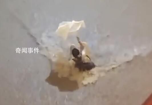 港交所全日暫停交易 極端情況至少維持至下午6時