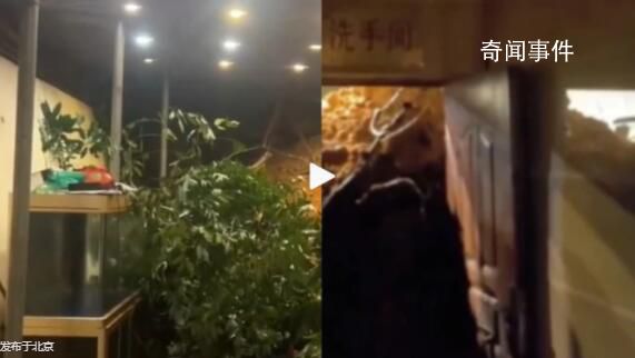 深圳男子上廁所遇滑坡衛生間門被沖開 現場已處置完畢無人員傷亡